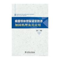 正版书籍 病害坝体劈裂灌浆防渗加固机理及其应用 9787512393257 中国电力