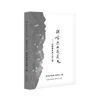 正版书籍 群峰之上是夏天 9787535483409 长江文艺出版社