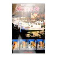 正版书籍 剖析油画的奥秘：城市风景 9787554704608 天津杨柳青出版社