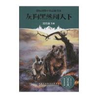 正版书籍 灰狗黑熊闯天下 [美] 詹姆斯·柯伍德,沈石溪,朱枣 9787539786056