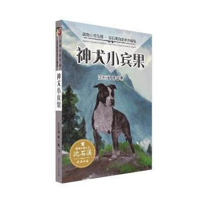 正版书籍 动物小说王国 沈石溪自选中外精品 神犬小宾果 9787556218523 湖