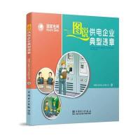 正版书籍 图说供电企业典型违章 9787512391130 中国电力出版社