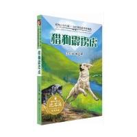 正版书籍 动物小说王国 沈石溪自选中外精品 猎狗霹雳虎 9787556218547 湖