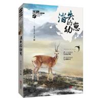 正版书籍 黑鹤非常勇敢系列 消失的幼崽 9787555234135 青岛出版社
