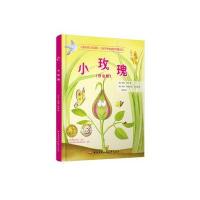 正版书籍 小玫瑰 9787304070236 国家开放大学出版社