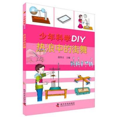 正版书籍 少年科学DIY—热浪中的街舞 9787110091432 科学普及出版社