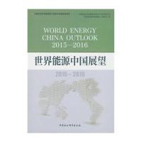 正版书籍 世界能源中国展望(2015—2016) 9787516182567 中国社科学出版社