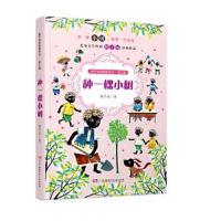 正版书籍 梅子涵讲故事系列(第三辑):种一棵小树 9787556200016 湖南少年儿