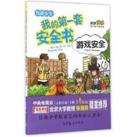 正版书籍 我的套安全书--游戏安全 9787040455328 高等教育出版社