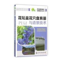 正版书籍 现代园林绿化实用技术丛书--花坛盆盘育苗与造景技术 97871222482