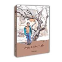 正版书籍 刘玉栋长篇少年成长小说 小荷工作坊原创儿童文学：我的名字叫丫