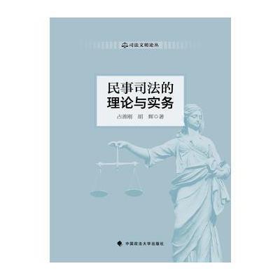 正版书籍 民事司法的理论与实务 9787562068914 中国政法大学出版社