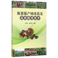 正版书籍 板栗低产树改造及高效栽培技术 9787511627223 中国农业科学技术