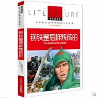 正版书籍 钢铁是怎样炼成的 教育部推荐新课标必读 世界经典文学名著 名校