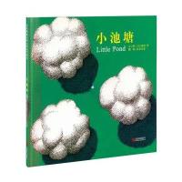 正版书籍 小池塘 9787550284760 北京联合出版公司