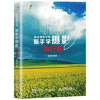 正版书籍 蜂鸟摄影学院新手学摄影(旅行篇) 9787115440686 人民邮电出版社