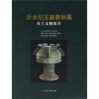 正版书籍 沂水纪王崮春秋墓出土文物集萃 9787501047116 文物出版社