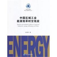 正版书籍 中国区域工业能源效率时空效应 9787509645864 经济管理出版社