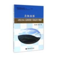 正版书籍 青海南部二叠纪火山沉积格架下的蜓类生物群 9787562538325 中国
