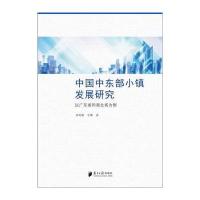 正版书籍 中国中东部小镇发展研究：以广东省和湖北省为例 9787549114849