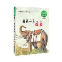 正版书籍 沈石溪画本 注音书系列(辑)——后一头战象 9787556050628 长江少