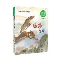 正版书籍 沈石溪画本 注音书系列(辑)——斑羚飞渡 9787556050635 长江少年