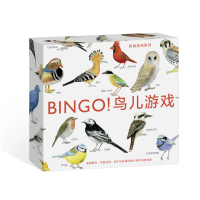 正版书籍 宾果游戏系列：BINGO! 鸟儿游戏 9787550291102 北京联合出版公司