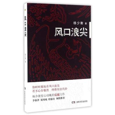 正版书籍 风口浪尖 9787515510422 金城出版社