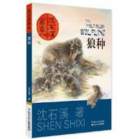 正版书籍 沈石溪画本(第二辑)狼种 9787556044818 长江少年儿童出版社