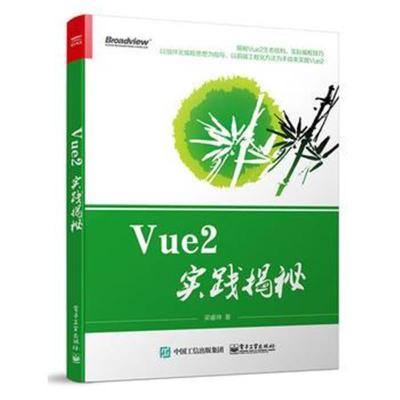 正版书籍 Vue2实践揭秘 9787121310683 电子工业出版社