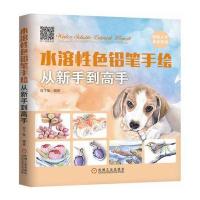 正版书籍 水溶性色铅笔手绘从新手到高手 9787111573869 机械工业出版社