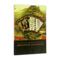 正版书籍 奇妙皮影木偶/中华复兴之光 辉煌书画艺术 9787565823398 汕头大