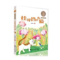 正版书籍 童话老奶奶讲故事：挂铃铛的小猫 全彩拼音读物 9787308170925