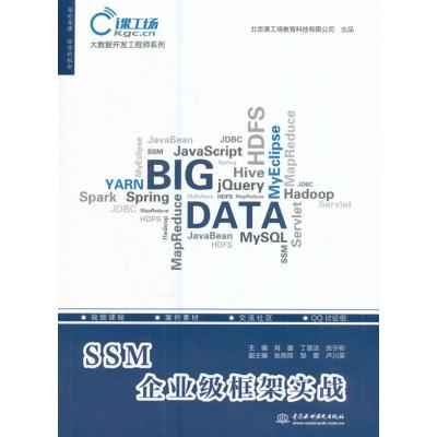 正版书籍 SSM企业级框架实战(大数据开发工程师系列) 9787517056416 水利水
