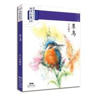 正版书籍 课本名家精选书系：翠鸟 9787558304781 新世纪出版社