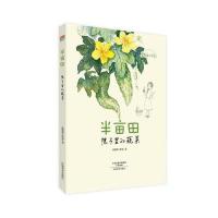 正版书籍 美绘时光 半亩田 9787540138080 河南美术出版社