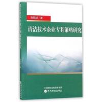 正版书籍 清洁技术企业策略研究 9787514182330 经济科学出版社