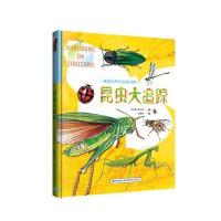 正版书籍 昆虫大追踪(我的自然生态图书馆) 9787533552602 福建科技出版社