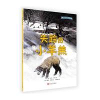 正版书籍 我的动物朋友：失踪的小羊羔 9787020133468 人民文学出版社