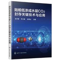 正版书籍 陆相低渗咸水层CO2封存关键技术与应用 9787122312525 化学工业出