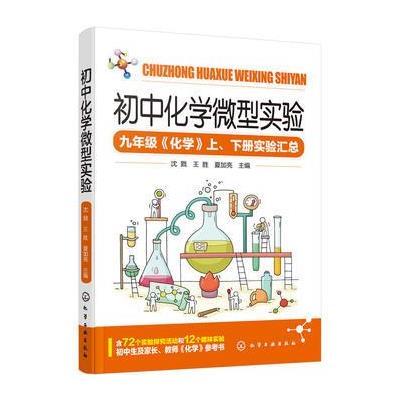 正版书籍 初中化学微型实验 97871223049 化学工业出版社