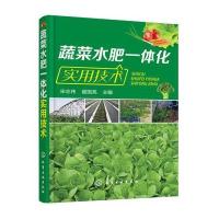 正版书籍 蔬菜水肥一体化实用技术 9787122310583 化学工业出版社