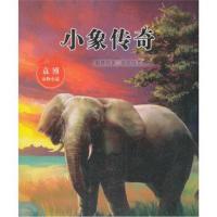 正版书籍 袁博动物小说:小象传奇 9787558306501 新世纪出版社