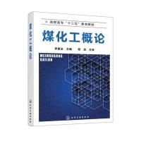 正版书籍 煤化工概论(李建法) 9787122307989 化学工业出版社