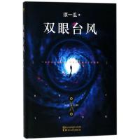 正版书籍 双眼台风 9787533952211 浙江文艺出版社