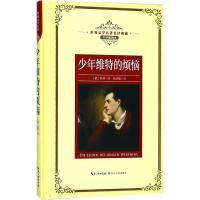 正版书籍 少年维特的烦恼：新课标—长江名著名译(世界文学名著名译典藏 全