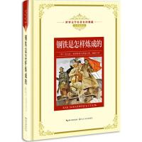 正版书籍 钢铁是怎样炼成的：新课标—长江名著名译(世界文学名著名译典藏