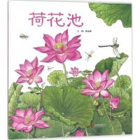正版书籍 荷花池——(启发童书馆出品) 9787559610744 北京联合出版有限公