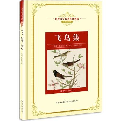 正版书籍 飞鸟集：新课标—长江名著名译(世界文学名著名译典藏 全译插图本