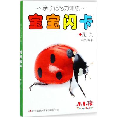 正版书籍 小小孩 亲子记忆力训练：宝宝闪卡(昆虫) 9787558140822 吉林出版